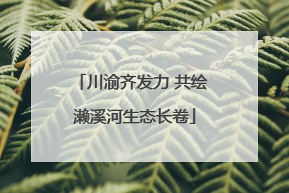 川渝齐发力 共绘濑溪河生态长卷