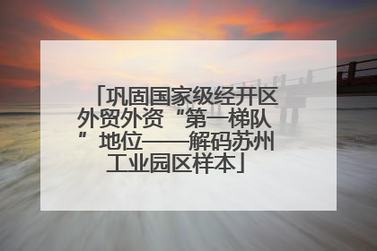 巩固国家级经开区外贸外资“第一梯队”地位——解码苏州工业园区样本