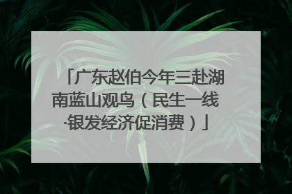 广东赵伯今年三赴湖南蓝山观鸟（民生一线·银发经济促消费）