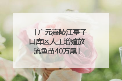 广元嘉陵江亭子口库区人工增殖放流鱼苗40万尾