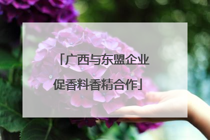 广西与东盟企业促香料香精合作