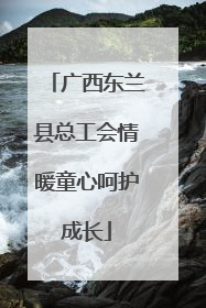 广西东兰县总工会情暖童心呵护成长