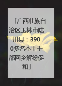 广西壮族自治区玉林市陆川县：3900多名本土干部回乡解纷促和