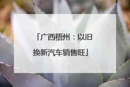 广西梧州：以旧换新汽车销售旺