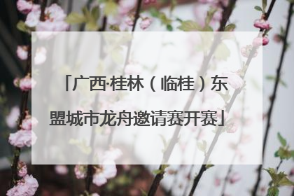 广西·桂林（临桂）东盟城市龙舟邀请赛开赛