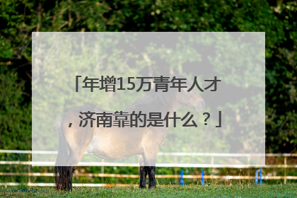 年增15万青年人才，济南靠的是什么？