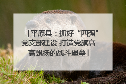 平原县：抓好“四强”党支部建设 打造党旗高高飘扬的战斗堡垒