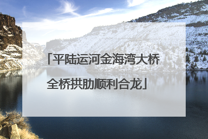 平陆运河金海湾大桥全桥拱肋顺利合龙