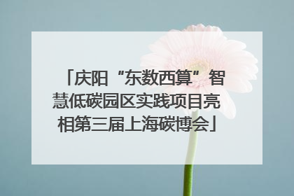 庆阳“东数西算”智慧低碳园区实践项目亮相第三届上海碳博会
