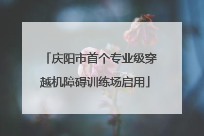庆阳市首个专业级穿越机障碍训练场启用