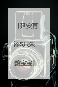 延安再添5只朱鹮宝宝