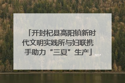 开封杞县高阳镇新时代文明实践所与妇联携手助力“三夏”生产