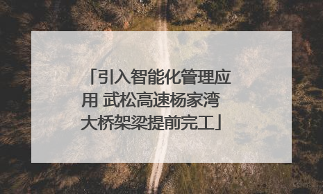 引入智能化管理应用 武松高速杨家湾大桥架梁提前完工