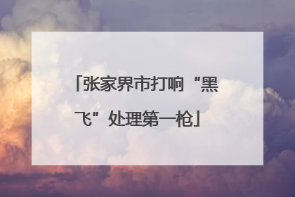 张家界市打响“黑飞”处理第一枪