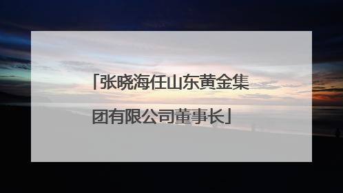 张晓海任山东黄金集团有限公司董事长
