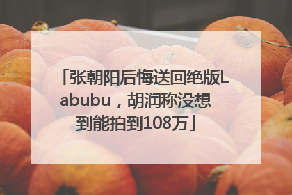 张朝阳后悔送回绝版Labubu，胡润称没想到能拍到108万