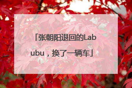张朝阳退回的Labubu，换了一辆车