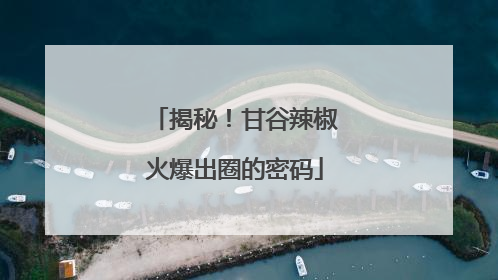 揭秘！甘谷辣椒火爆出圈的密码