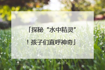 探秘“水中精灵”！孩子们直呼神奇