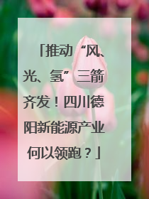 推动“风、光、氢”三箭齐发！四川德阳新能源产业何以领跑？