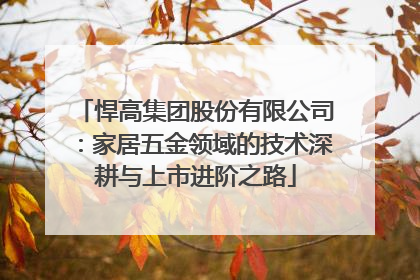 悍高集团股份有限公司：家居五金领域的技术深耕与上市进阶之路