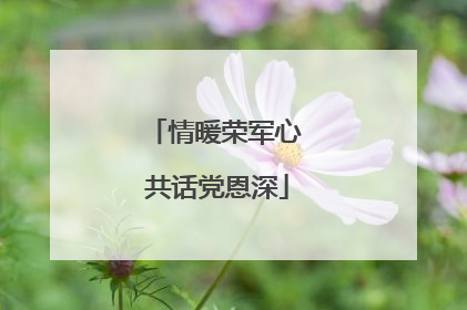 情暖荣军心 共话党恩深