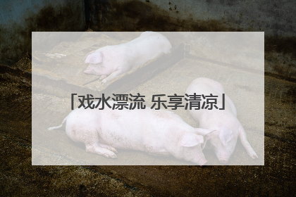 戏水漂流 乐享清凉