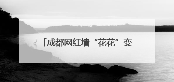 成都网红墙“花花”变“labubu”引争议 最新：涂鸦已被抹掉