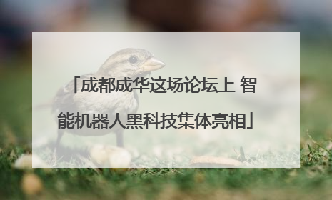 成都成华这场论坛上 智能机器人黑科技集体亮相
