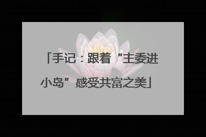 手记：跟着“主委进小岛”感受共富之美