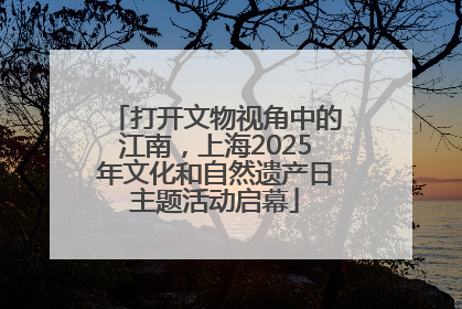 打开文物视角中的江南，上海2025年文化和自然遗产日主题活动启幕