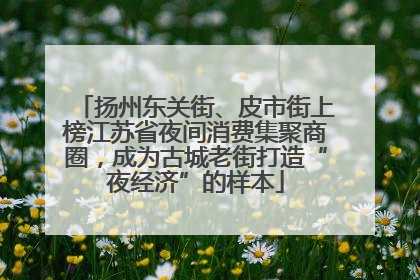 扬州东关街、皮市街上榜江苏省夜间消费集聚商圈，成为古城老街打造“夜经济”的样本