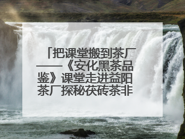 把课堂搬到茶厂——《安化黑茶品鉴》课堂走进益阳茶厂探秘茯砖茶非遗技艺