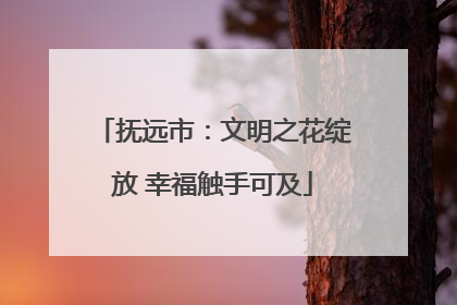 抚远市：文明之花绽放 幸福触手可及