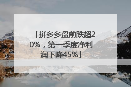拼多多盘前跌超20%，第一季度净利润下降45%