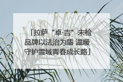 拉萨“卓·吉”未检品牌以法治为盾 温暖守护雪域青春成长路