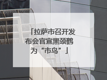 拉萨市召开发布会官宣黑颈鹤为“市鸟”