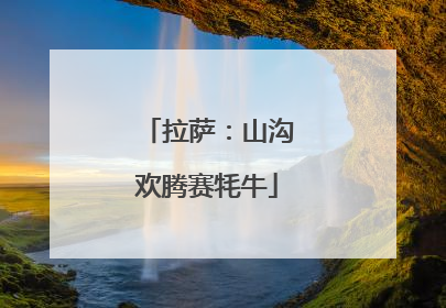 拉萨：山沟欢腾赛牦牛
