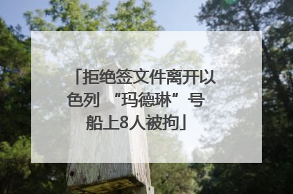 拒绝签文件离开以色列 “玛德琳”号船上8人被拘
