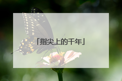 指尖上的千年