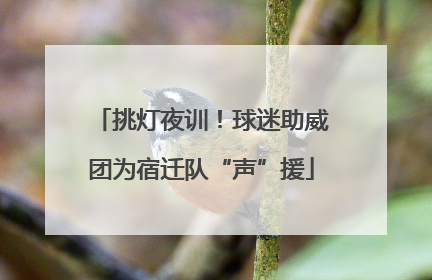 挑灯夜训！球迷助威团为宿迁队“声”援