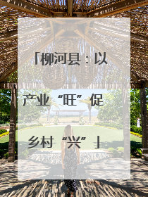 柳河县：以产业“旺”促乡村“兴”
