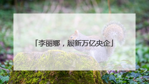 李丽娜，履新万亿央企