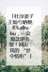 杜淳妻子王灿兮晒整柜Labubu，一众爆款IP齐聚！网友：我的 “梦中情柜”