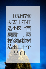 杭州7旬夫妻十年打造小区“百果园”，两棵猕猴桃树结出上千个果子