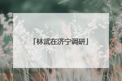 林武在济宁调研