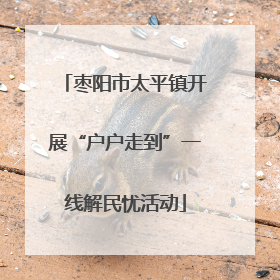 枣阳市太平镇开展“户户走到”一线解民忧活动