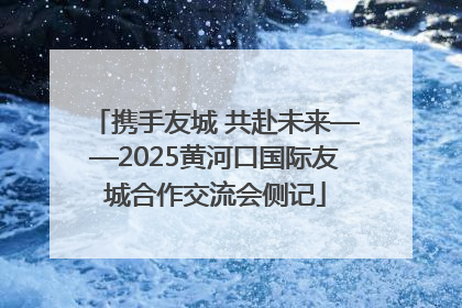 携手友城 共赴未来——2025黄河口国际友城合作交流会侧记