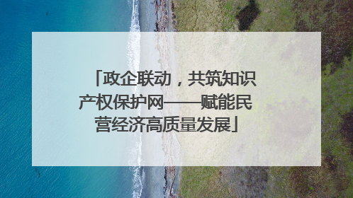 政企联动，共筑知识产权保护网——赋能民营经济高质量发展