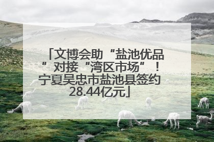 文博会助“盐池优品”对接“湾区市场”！宁夏吴忠市盐池县签约28.44亿元